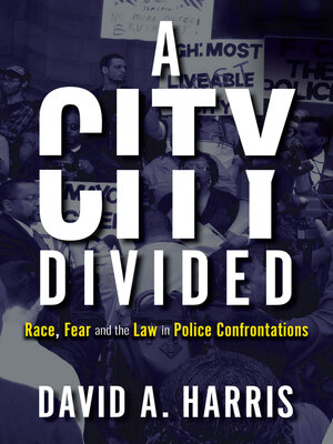 cover image of A City Divided